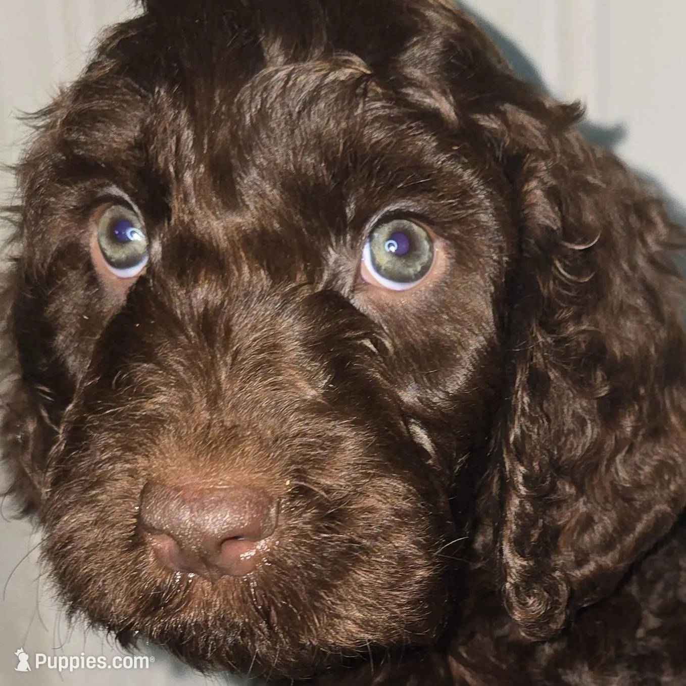 processed/09ca421d-17e6-4899-a694-814dedb25bac/listing/b7593a98-01a2-4dfa-b78e-5b04753f04e3/3f3ccfbb-cdce-4d2e-86fb-b9f847f20d72