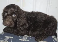 processed/09ca421d-17e6-4899-a694-814dedb25bac/listing/b7593a98-01a2-4dfa-b78e-5b04753f04e3/f72b543b-d3f8-449d-8718-a23d33d41263