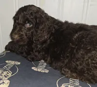 processed/09ca421d-17e6-4899-a694-814dedb25bac/listing/b7593a98-01a2-4dfa-b78e-5b04753f04e3/f952f346-a9b3-412f-a1ce-27dc89a8472d