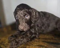 processed/09ca421d-17e6-4899-a694-814dedb25bac/listing/de80d4ea-aed3-42dc-bcd5-95f9caf0f14a/433bd194-cdbb-4676-bdce-5116dcc7f7f7