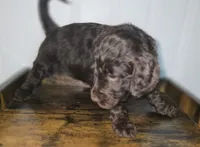 processed/09ca421d-17e6-4899-a694-814dedb25bac/listing/de80d4ea-aed3-42dc-bcd5-95f9caf0f14a/d7f413e5-f9ce-48ea-b943-a6c4b0576c3b