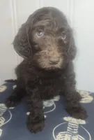 processed/09ca421d-17e6-4899-a694-814dedb25bac/listing/de80d4ea-aed3-42dc-bcd5-95f9caf0f14a/f43b1dc0-efbb-42c7-b293-545f6031db65