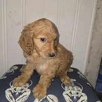 processed/09ca421d-17e6-4899-a694-814dedb25bac/listing/f87339c6-604c-4bc3-99b1-a2698e791dc0/54ab9c02-2205-41c0-a039-3186bf4e85fb