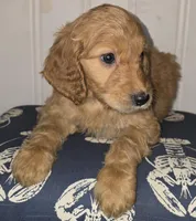 processed/09ca421d-17e6-4899-a694-814dedb25bac/listing/f87339c6-604c-4bc3-99b1-a2698e791dc0/ea004eda-6807-40fb-a420-493fc7a664af