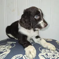 processed/09ca421d-17e6-4899-a694-814dedb25bac/listing/fd842e1a-93c5-4878-a59b-9ab349ec541c/290abac8-be90-431d-a59b-a50107f346c0