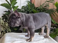 processed/09deb3d1-9994-4ff3-8a74-e54c0ebb0e0d/listing/1f07a7fd-315f-4b2c-be0e-97c0a235f746/19dd8867-33d8-41de-b585-cf7f526ca993