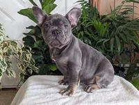 processed/09deb3d1-9994-4ff3-8a74-e54c0ebb0e0d/listing/1f07a7fd-315f-4b2c-be0e-97c0a235f746/f477bce8-7d5d-4d46-a56d-85a0cd12d224