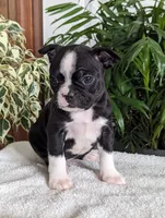 processed/09deb3d1-9994-4ff3-8a74-e54c0ebb0e0d/listing/4df5197c-912b-4da2-84c4-c188a3e5f12c/636e8c6a-3021-47e8-8e0e-44eba2ea8b8a