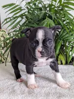 processed/09deb3d1-9994-4ff3-8a74-e54c0ebb0e0d/listing/4df5197c-912b-4da2-84c4-c188a3e5f12c/e1c0a311-7622-44fd-b6d2-254391bf75ed