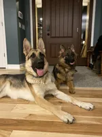 processed/09e26809-1e61-4e0e-8529-f95d9f4461e9/facility/68b3c1ec-80b3-434e-a230-726748f6b78e