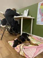 processed/09e26809-1e61-4e0e-8529-f95d9f4461e9/facility/764f0aaf-1681-405a-b6c8-6b2b109ead57