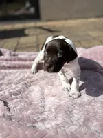 processed/09e39b61-d305-44c4-a8c4-1d9c1fcdefb1/listing/2e88562b-a7ce-4fc7-b531-036f6e7e194d/02701b2f-58a7-465f-aa87-1b399a1f21e9