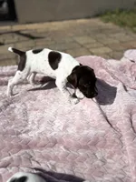 processed/09e39b61-d305-44c4-a8c4-1d9c1fcdefb1/listing/2e88562b-a7ce-4fc7-b531-036f6e7e194d/c88ab649-c263-4077-886e-f6deab6815d1