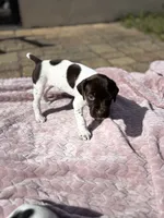 processed/09e39b61-d305-44c4-a8c4-1d9c1fcdefb1/listing/2e88562b-a7ce-4fc7-b531-036f6e7e194d/ffdfa084-898a-4b93-a88c-7af9e2520f1f