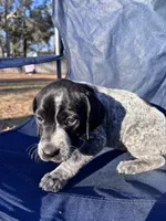 processed/09e39b61-d305-44c4-a8c4-1d9c1fcdefb1/listing/497f5226-0a87-4aee-b5ee-eef79cbf6ddb/3fad80b3-21c4-4a94-8623-c80fb956f24c