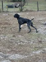 processed/09e39b61-d305-44c4-a8c4-1d9c1fcdefb1/listing/497f5226-0a87-4aee-b5ee-eef79cbf6ddb/6b62b5cc-0cad-4847-89e5-95db82482258