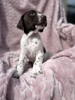 processed/09e39b61-d305-44c4-a8c4-1d9c1fcdefb1/listing/4e9645dc-3dc1-4528-983b-d9d556c79c9c/2257daeb-33a5-47d2-a1f1-8f88c50c9123