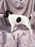 processed/09e39b61-d305-44c4-a8c4-1d9c1fcdefb1/listing/4e9645dc-3dc1-4528-983b-d9d556c79c9c/845ff9f2-e7cd-4d35-beb9-0b4fa196205b