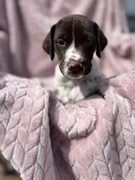 processed/09e39b61-d305-44c4-a8c4-1d9c1fcdefb1/listing/4e9645dc-3dc1-4528-983b-d9d556c79c9c/e1fb6c40-2c57-4aee-a91c-d99e263a294f