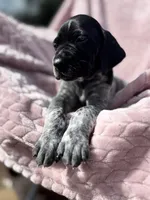 processed/09e39b61-d305-44c4-a8c4-1d9c1fcdefb1/listing/7d43b8e4-d7b3-4b11-ae3b-2b42c58aacf7/5ab6b549-82d9-4ed7-ad03-e36ba987e49c