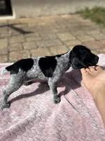 processed/09e39b61-d305-44c4-a8c4-1d9c1fcdefb1/listing/7d43b8e4-d7b3-4b11-ae3b-2b42c58aacf7/5fdb3698-ddf4-4c8e-9c3d-08a92fa0734b