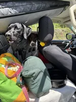 processed/09e39b61-d305-44c4-a8c4-1d9c1fcdefb1/listing/7d43b8e4-d7b3-4b11-ae3b-2b42c58aacf7/87ef00a6-5750-45cf-884c-ba31babd9a1c