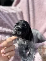 processed/09e39b61-d305-44c4-a8c4-1d9c1fcdefb1/listing/7d43b8e4-d7b3-4b11-ae3b-2b42c58aacf7/a501b8ff-d1f6-4007-ab4a-d8946e20c659