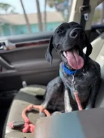 processed/09e39b61-d305-44c4-a8c4-1d9c1fcdefb1/listing/7d43b8e4-d7b3-4b11-ae3b-2b42c58aacf7/d8b32fff-93bf-4f26-80d0-e5e11f82374f