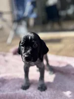 processed/09e39b61-d305-44c4-a8c4-1d9c1fcdefb1/listing/7d43b8e4-d7b3-4b11-ae3b-2b42c58aacf7/f6107f64-992a-47d9-944e-2327e3a74389