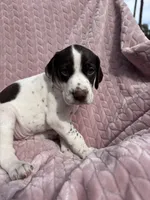 processed/09e39b61-d305-44c4-a8c4-1d9c1fcdefb1/listing/aeb4a9d7-49c6-46d7-b55b-d73ebe116104/1fb69d4e-7ef9-4b23-bded-babbad315d9f