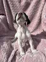 processed/09e39b61-d305-44c4-a8c4-1d9c1fcdefb1/listing/aeb4a9d7-49c6-46d7-b55b-d73ebe116104/421bdf25-6fa3-4a0c-b778-c1eaa638c6a1