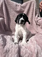 processed/09e39b61-d305-44c4-a8c4-1d9c1fcdefb1/listing/e2786c60-2276-4dba-a77b-61663f23c551/92853257-f082-4e33-8e87-79cdc786509a