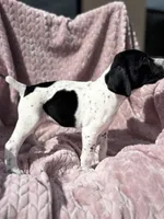 processed/09e39b61-d305-44c4-a8c4-1d9c1fcdefb1/listing/e2786c60-2276-4dba-a77b-61663f23c551/a100b697-d227-42ac-a18e-bae5ff93cc36