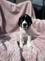 processed/09e39b61-d305-44c4-a8c4-1d9c1fcdefb1/listing/e2786c60-2276-4dba-a77b-61663f23c551/a8e0e40d-cb5d-4fc4-8005-68cf11c53569