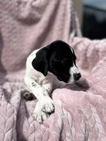 processed/09e39b61-d305-44c4-a8c4-1d9c1fcdefb1/listing/e2786c60-2276-4dba-a77b-61663f23c551/bae9f6a0-ac44-4ced-949c-53ac4e42d5e7