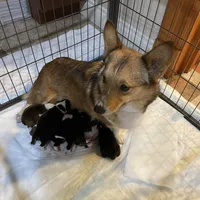 processed/09e4433e-96f8-4424-bb53-f56fdf496f7d/facility/795d8d79-4e8f-490e-ad6c-0d8c6d3599fd