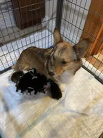 processed/09e4433e-96f8-4424-bb53-f56fdf496f7d/facility/795d8d79-4e8f-490e-ad6c-0d8c6d3599fd