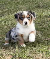 processed/09e52eeb-65ac-4c7b-9a56-085d06081a67/listing/20f76816-a822-496d-a7df-6311b985e4fa/59e8710c-fc45-437a-9f6b-cc5d405b2606