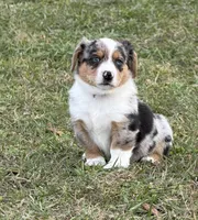 processed/09e52eeb-65ac-4c7b-9a56-085d06081a67/listing/20f76816-a822-496d-a7df-6311b985e4fa/9aba6459-ddef-42e6-8d64-d8f3e395caa4