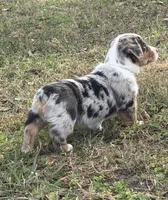 processed/09e52eeb-65ac-4c7b-9a56-085d06081a67/listing/20f76816-a822-496d-a7df-6311b985e4fa/b6d5f3ad-9b38-4b3a-af4c-c6bb94df263b