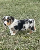 processed/09e52eeb-65ac-4c7b-9a56-085d06081a67/listing/20f76816-a822-496d-a7df-6311b985e4fa/dded5ef1-f79e-403a-8816-20479e86cbb7