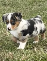 processed/09e52eeb-65ac-4c7b-9a56-085d06081a67/listing/20f76816-a822-496d-a7df-6311b985e4fa/f1ffb9ce-2a3b-4734-81cf-48c3ec83a712