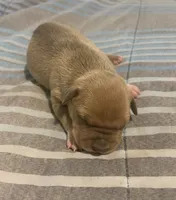 processed/09e5b8f2-bf33-416e-ac74-9d5aff06daac/listing/bd464a2d-3dcd-4adf-977b-411c7576ac9a/099406f4-6117-4f9e-b21e-b8b40f1cf8f2