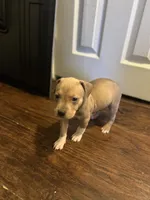 processed/09e5b8f2-bf33-416e-ac74-9d5aff06daac/listing/bd464a2d-3dcd-4adf-977b-411c7576ac9a/1b1eb870-6333-4d7a-ad6d-45cb4c792609