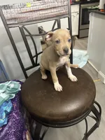 processed/09e5b8f2-bf33-416e-ac74-9d5aff06daac/listing/bd464a2d-3dcd-4adf-977b-411c7576ac9a/25951c57-2ada-4547-bcc0-908671b30145