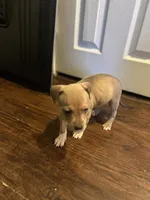 processed/09e5b8f2-bf33-416e-ac74-9d5aff06daac/listing/bd464a2d-3dcd-4adf-977b-411c7576ac9a/a74ef8df-87ee-440e-a511-a64701142471