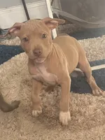 processed/09e5b8f2-bf33-416e-ac74-9d5aff06daac/listing/fb81da5e-9f23-4cac-a18c-a87d639d1fbd/1973f348-a2c3-46fa-8a6c-6e3a4fe5c082