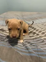 processed/09e5b8f2-bf33-416e-ac74-9d5aff06daac/listing/fb81da5e-9f23-4cac-a18c-a87d639d1fbd/2cf99c58-d0ca-475a-ad38-e8fd66d882b5