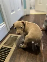 processed/09e5b8f2-bf33-416e-ac74-9d5aff06daac/listing/fb81da5e-9f23-4cac-a18c-a87d639d1fbd/2dad5f74-2910-430e-9f3a-bb8b8f2ce4fb