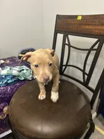 processed/09e5b8f2-bf33-416e-ac74-9d5aff06daac/listing/fb81da5e-9f23-4cac-a18c-a87d639d1fbd/4509487b-cb5e-4632-85ec-2ba88c034366